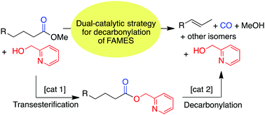 Graphical abstract: Dual-catalytic decarbonylation of fatty acid methyl esters to form olefins