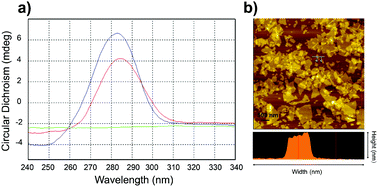 Graphical abstract: Mercury nanoladders: a new method for DNA amplification, signal identification and their application in the detection of Hg(ii) ions