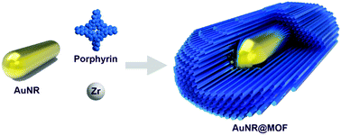 Graphical abstract: Trace water mediated growth of oriented single-crystalline mesoporous metal–organic frameworks on gold nanorods