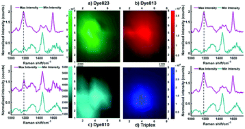 Graphical abstract: Multiplex imaging of live breast cancer tumour models through tissue using handheld surface enhanced spatially offset resonance Raman spectroscopy (SESORRS)