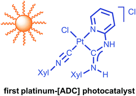 Graphical abstract: Visible light accelerated hydrosilylation of alkynes using platinum–[acyclic diaminocarbene] photocatalysts