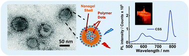 Graphical abstract: Core–shell–shell cytocompatible polymer dot-based particles with near-infrared emission and enhanced dispersion stability