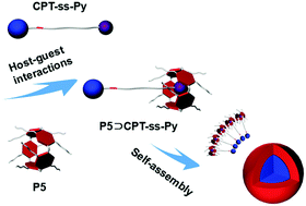 Graphical abstract: Supramolecular chemotherapeutic drug constructed from pillararene-based supramolecular amphiphile