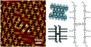 Graphical abstract: Supramolecular nanopatterns of H-shaped molecules