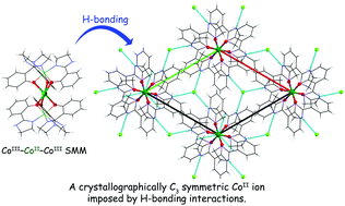 Graphical abstract: Field-induced single-molecule magnet behavior in ideal trigonal antiprismatic cobalt(ii) complexes: precise geometrical control by a hydrogen-bonded rigid metalloligand