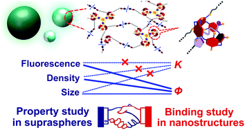 Graphical abstract: Stronger host–guest binding does not necessarily give brighter particles: a case study on polymeric AIEE-tunable and size-tunable supraspheres