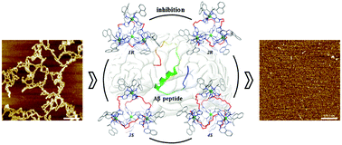 Graphical abstract: Chiral supramolecular coordination cages as high-performance inhibitors against amyloid-β aggregation