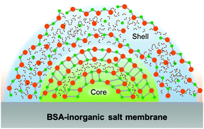Graphical abstract: Inorganic salt transition states: a stable and highly stretchable elastomer-like phase (ELP) of phosphate salts at the air–solid interface