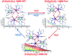 Graphical abstract: Cyclic OFF/Part/ON switching of single-molecule magnet behaviours via multistep single-crystal-to-single-crystal transformation between discrete Fe(ii)–Dy(iii) complexes