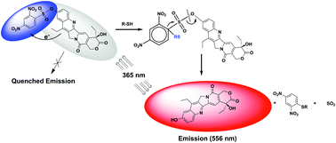 Graphical abstract: A highly GSH-sensitive SN-38 prodrug with an “OFF-to-ON” fluorescence switch as a bifunctional anticancer agent