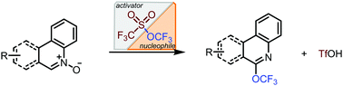 Graphical abstract: Synthesis of heteroaromatic trifluoromethyl ethers with trifluoromethyl triflate as the source of the trifluoromethoxy group