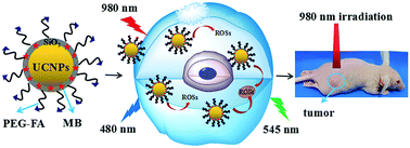 Graphical abstract: Construction of a targeted photodynamic nanotheranostic agent using upconversion nanoparticles coated with an ultrathin silica layer