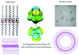 Graphical abstract: Self-assembled reversed bilayers directed by pnictogen bonding to form vesicles in solution