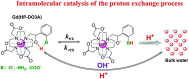 Graphical abstract: Exploring the intramolecular catalysis of the proton exchange process to modulate the relaxivity of Gd(iii)-complexes of HP-DO3A-like ligands