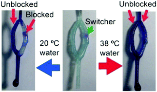 Graphical abstract: Hollow hydrogel networks for temperature-controlled water fluidics