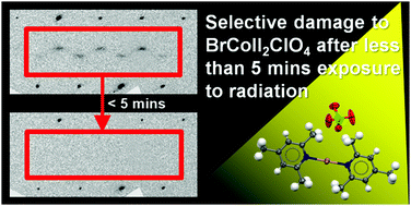 Graphical abstract: Unexpected behaviour in derivatives of Barluenga's reagent, Hal(Coll)2X (Coll = 2,4,6-trimethyl pyridine, collidine; Hal = I, Br; X = PF6, ClO4 & BF4)