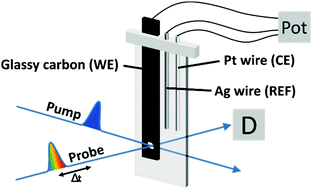 Graphical abstract: Electron transfer in a covalent dye–cobalt catalyst assembly – a transient absorption spectroelectrochemistry perspective