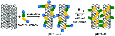 Graphical abstract: Reversible dispersion and precipitation of single-walled carbon nanotubes using a pH-responsive rigid surfactant