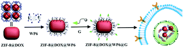Graphical abstract: A supramolecular hybrid material constructed from pillar[6]arene-based host–guest complexation and ZIF-8 for targeted drug delivery