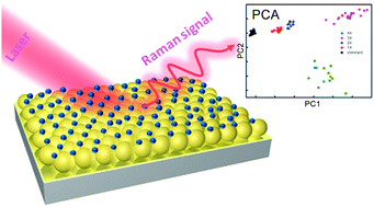 Graphical abstract: Evaluation of cigarette flavoring quality via surface-enhanced Raman spectroscopy