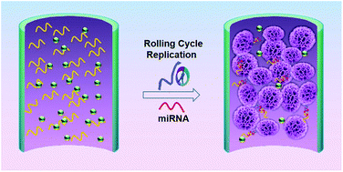 Graphical abstract: DNA nanoflower blooms in nanochannels: a new strategy for miRNA detection