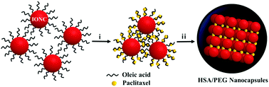 Graphical abstract: Paclitaxel-induced formation of 3D nanocrystal superlattices within injectable protein-based hybrid nanoparticles