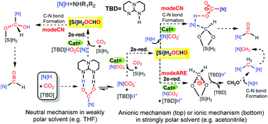 Graphical abstract: A comparative DFT study of TBD-catalyzed reactions of amines with CO2 and hydrosilane: the effect of solvent polarity on the mechanistic preference and the origins of chemoselectivities