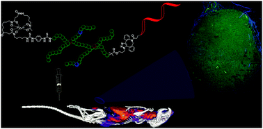 Graphical abstract: Designed multifunctional polymeric nanomedicines: long-term biodistribution and tumour accumulation of aptamer-targeted nanomaterials