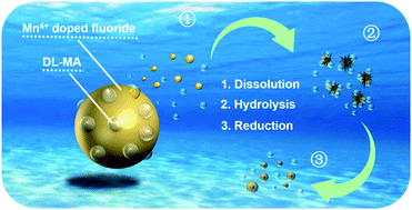 Graphical abstract: A new reductive dl-mandelic acid loading approach for moisture-stable Mn4+ doped fluorides