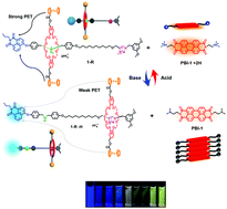 Graphical abstract: Bistable [2]rotaxane encoding an orthogonally tunable fluorescent molecular system including white-light emission