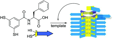 Graphical abstract: Template-promoted self-replication in dynamic combinatorial libraries made from a simple building block