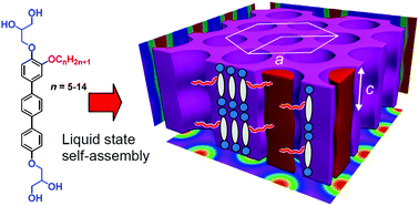 Graphical abstract: Transition between tangential and co-axial liquid crystalline honeycombs in the self-assembly of Y-shaped bolapolyphiles