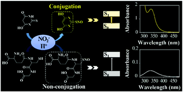 Graphical abstract: π-Conjugated thiolate amplified spectrophotometry nitrite assay with improved sensitivity and accuracy