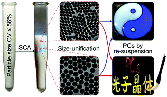 Graphical abstract: Separation-cooperated assembly of liquid photonic crystals from polydisperse particles