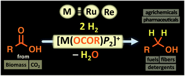 Graphical abstract: Catalytic hydrogenation of carboxylic acids using low-valent and high-valent metal complexes