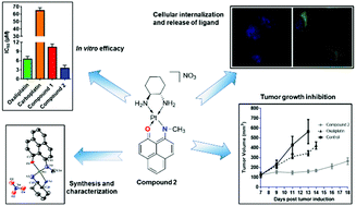 Graphical abstract: A safe and efficacious Pt(ii) anticancer prodrug: design, synthesis, in vitro efficacy, the role of carrier ligands and in vivo tumour growth inhibition