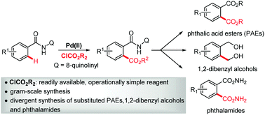 Graphical abstract: Synthesis of phthalic acid derivatives via Pd-catalyzed alkoxycarbonylation of aromatic C–H bonds with alkyl chloroformates