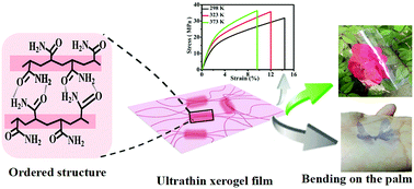 Graphical abstract: Humidity-sensitive polymer xerogel actuators prepared by biaxial pre-stretching and drying