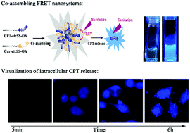 Graphical abstract: Co-assembling FRET nanomedicine with self-indicating drug release