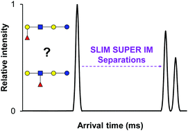 Graphical abstract: Unraveling the isomeric heterogeneity of glycans: ion mobility separations in structures for lossless ion manipulations