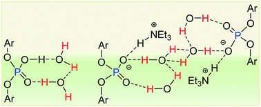 Graphical abstract: Neutral and anionic phosphate-diesters as molecular templates for the encapsulation of a water dimer