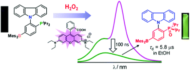 Graphical abstract: Rational design of time-resolved turn-on fluorescence sensors: exploiting delayed fluorescence for hydrogen peroxide sensing