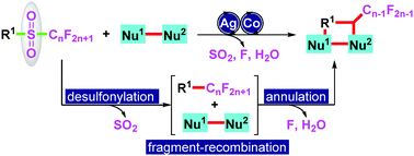 Graphical abstract: Polycyclic heteroaromatic ring construction driven by silver/cobalt co-catalyzed desulfonylative and defluorinative fragment-recombination of enol nonaflates with amidines