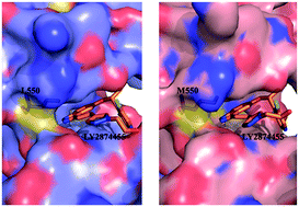 Graphical abstract: LY2874455 potently inhibits FGFR gatekeeper mutants and overcomes mutation-based resistance