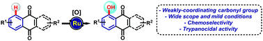 Graphical abstract: Ruthenium-catalyzed C–H oxygenation of quinones by weak O-coordination for potent trypanocidal agents