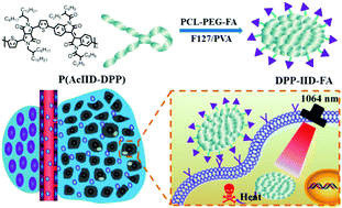 Graphical abstract: Semiconducting polymer-based nanoparticles for photothermal therapy at the second near-infrared window