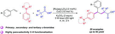 Graphical abstract: Alkylarylation of styrenes via direct C(sp3)–Br/C(sp2)–H functionalization mediated by photoredox and copper cooperative catalysis