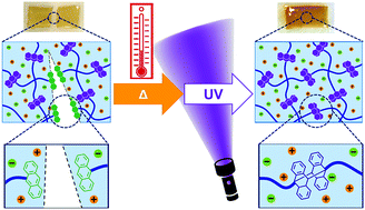 Graphical abstract: Photohealable ion gels based on the reversible dimerisation of anthracene