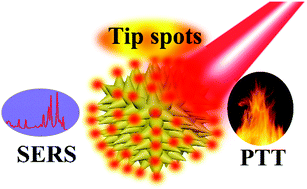 Graphical abstract: Rational synthesis of hollow cubic CuS@Spiky Au core–shell nanoparticles for enhanced photothermal and SERS effects