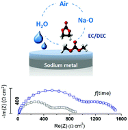 Graphical abstract: How reliable is the Na metal as a counter electrode in Na-ion half cells?